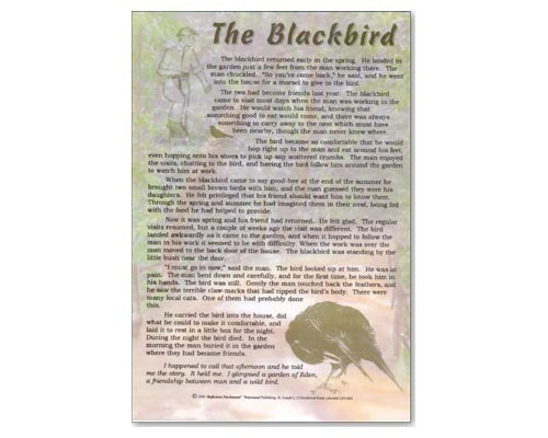The Blackbird Laminate